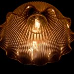 Photo pendant light