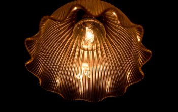 Photo pendant light